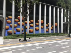 Flexible Transparent LED Screen